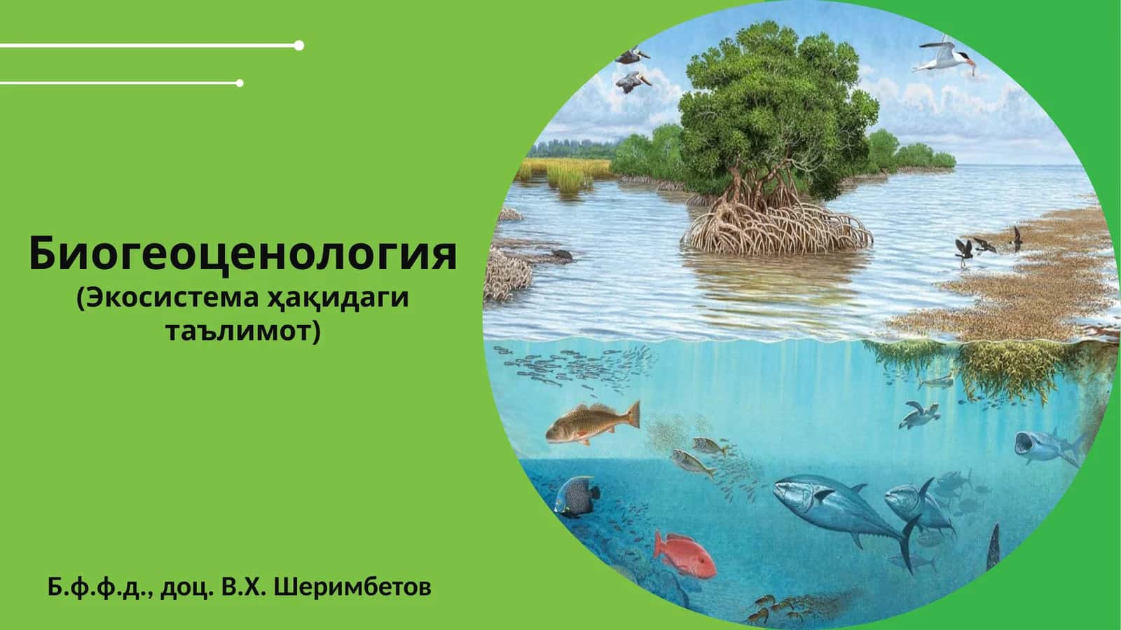 Биогеоценология(Экосистема ҳақидаги таълимот) 1