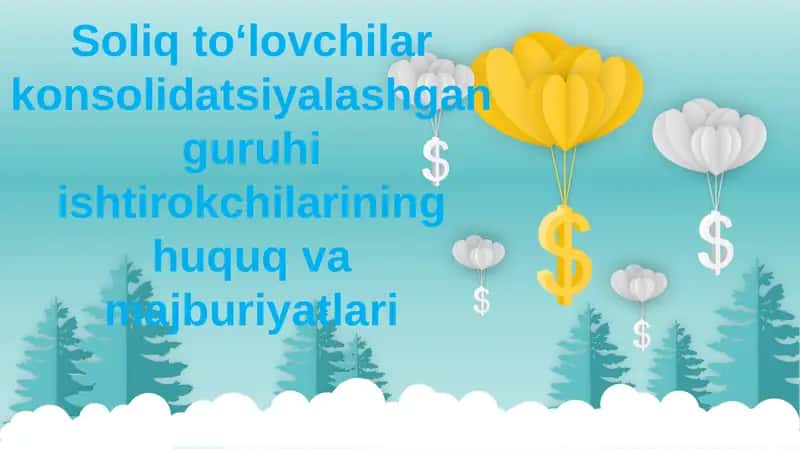 Soliq to‘lovchilar konsolidatsiyalashgan guruhi ishtirokchilarining huquq va majburiyatlari 1