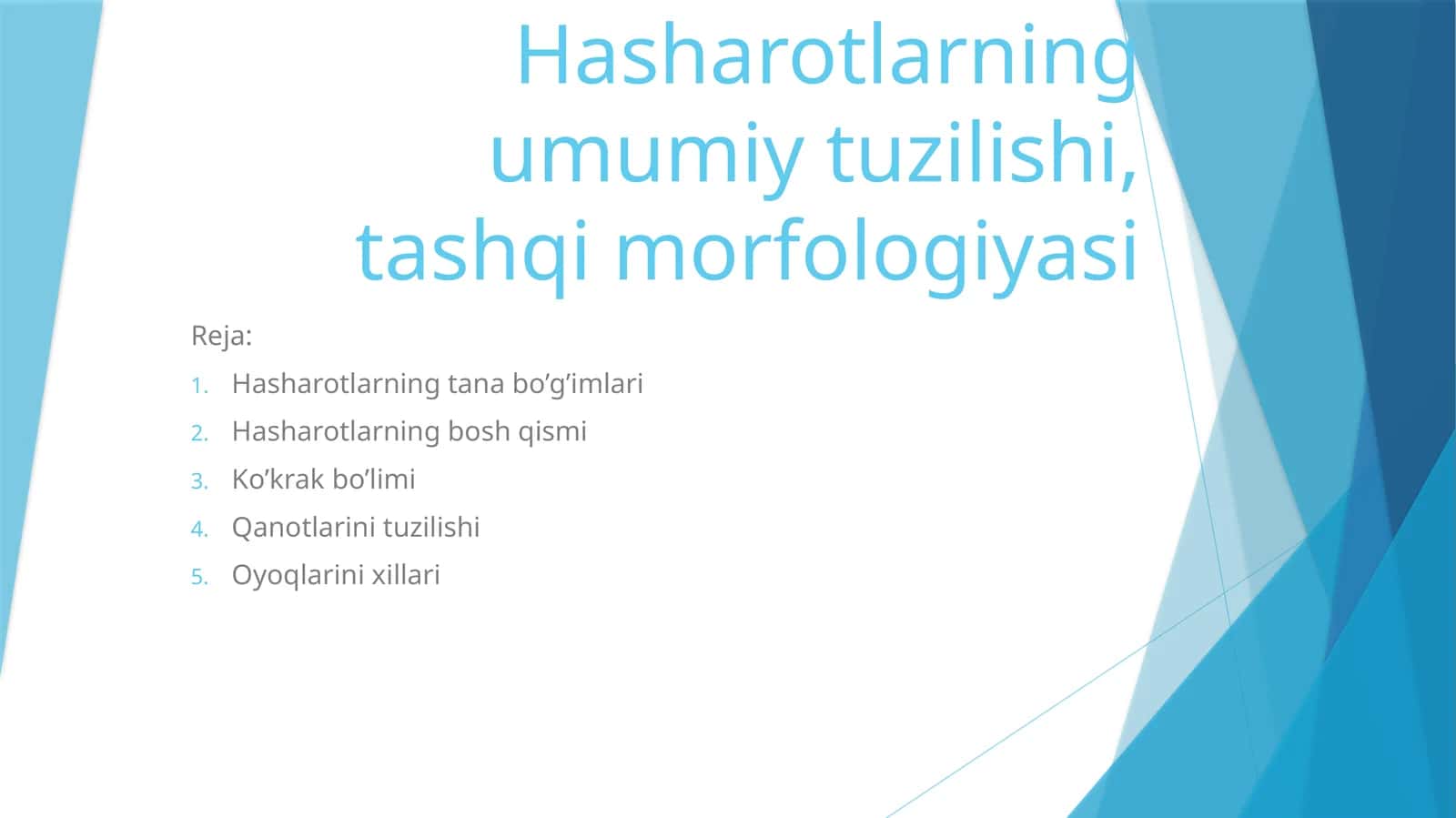 Hasharotlarning umumiy tuzilishi, tashqi morfologiyasi 1