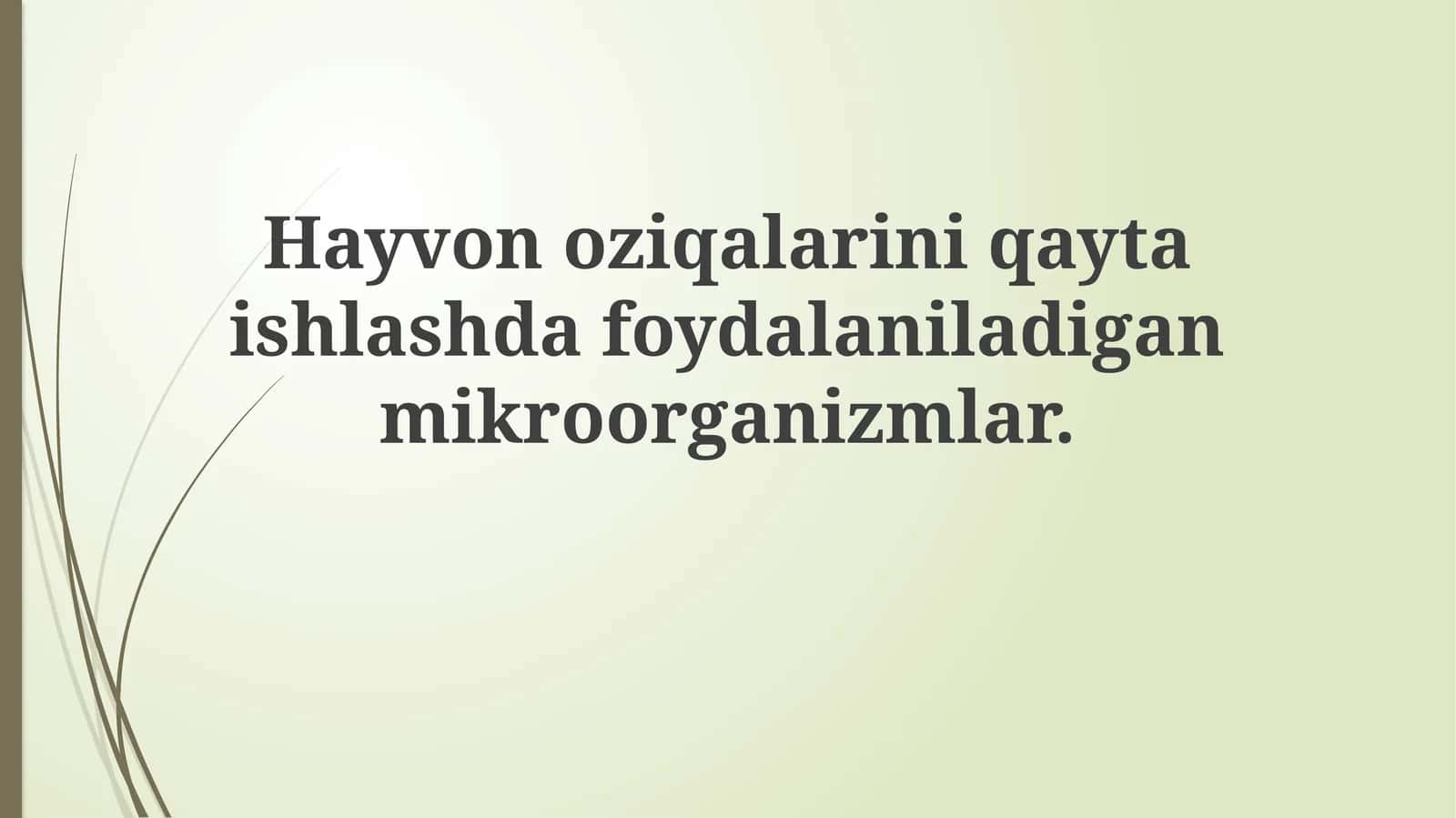 Hayvonoziqalariniqaytaishlashdafoydalaniladiganmikroorganizmlar 1