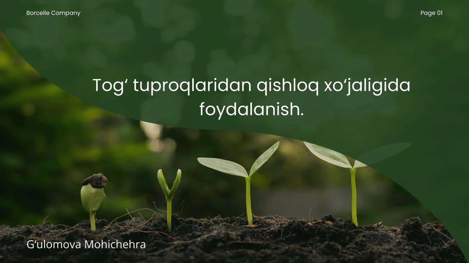 Tog‘ tuproqlaridan qishloq xo‘jaligida foydalanish 1