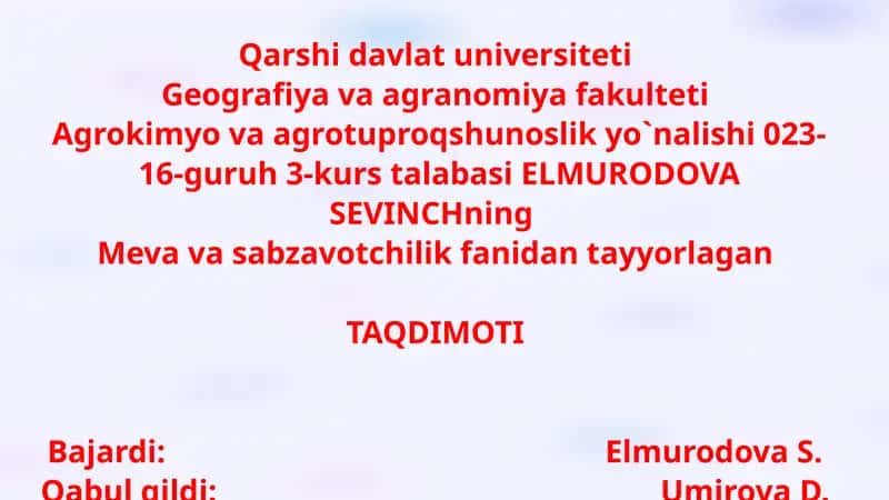 POMIDOR YETISHTIRISH TEXNOLOGIYASI 1