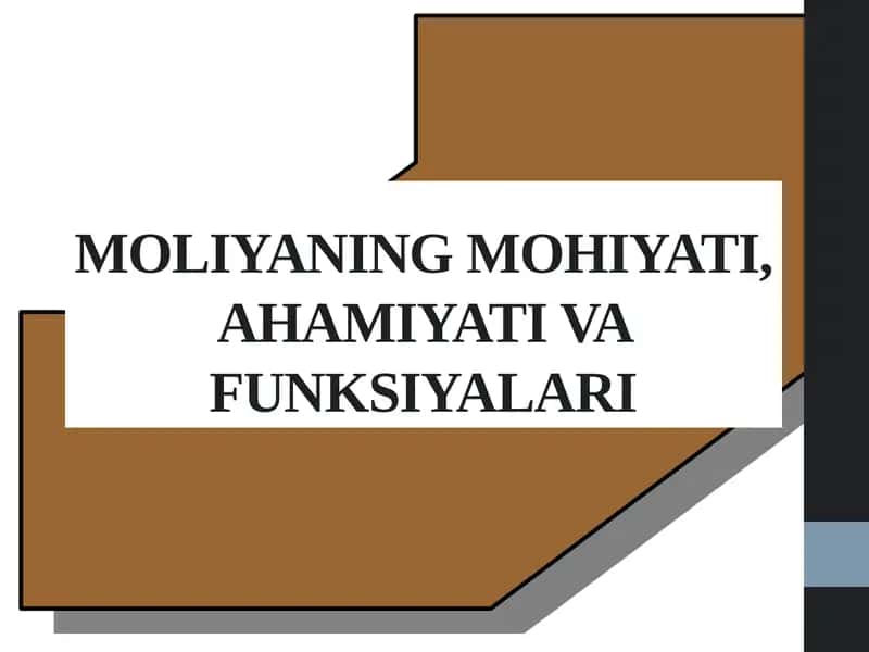MOLIYANING MOHIYATI, AHAMIYATI VA FUNKSIYALARI 1