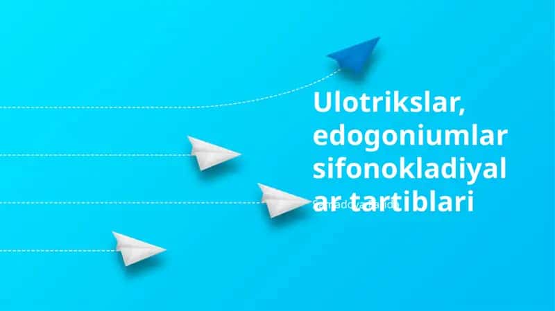 Ulotrikslar, edogoniumlar sifonokladiyalar tartiblari 1