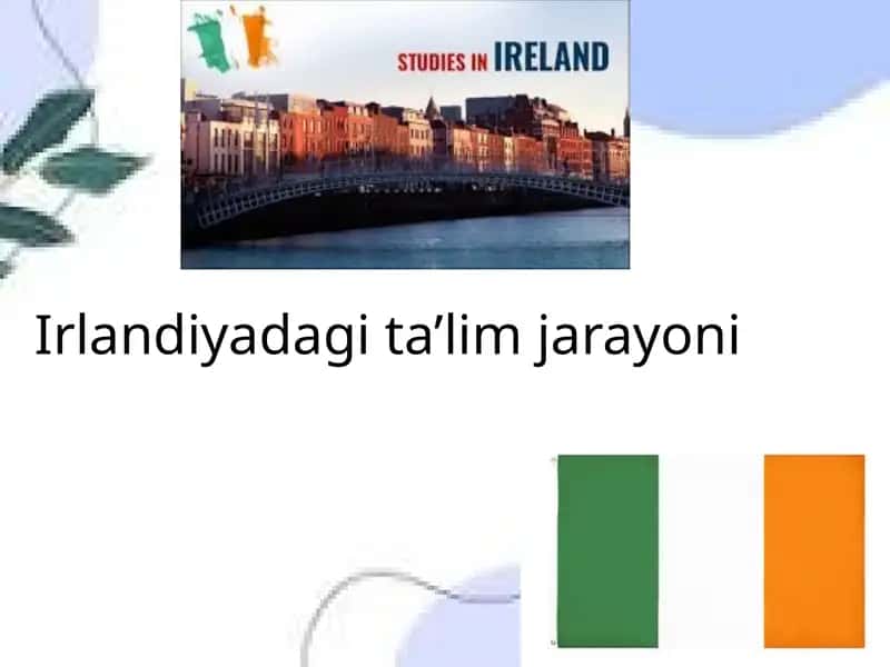 Irlandiyadagi ta’lim jarayoni 1