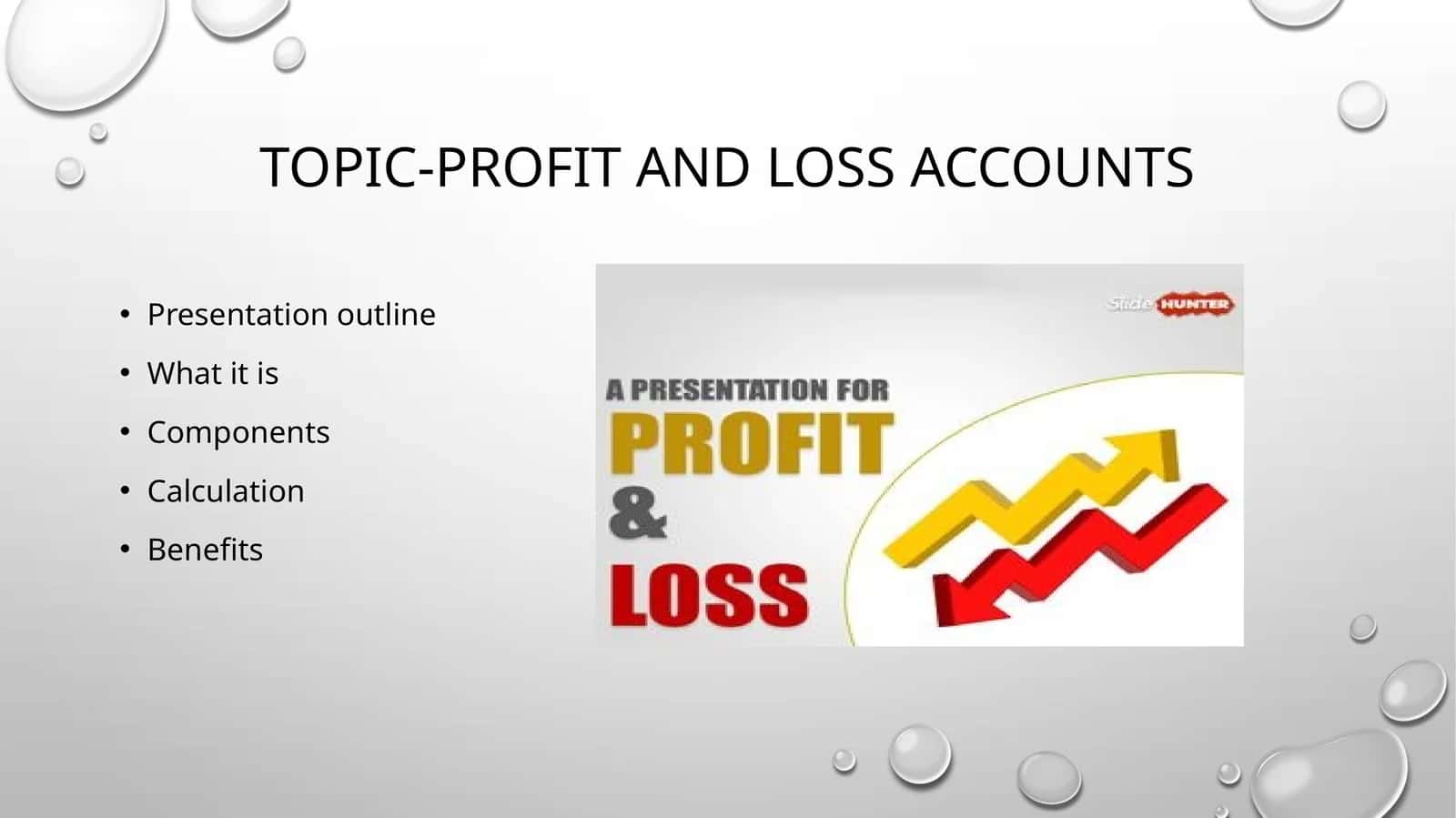 Topic-Profit and loss accounts 1