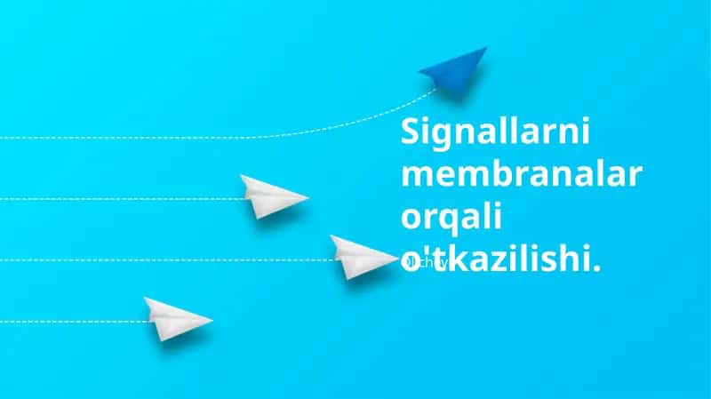 Signallarni membranalar orqali o'tkazilishi 1