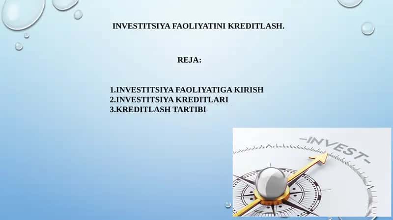 INVESTITSIYA FAOLIYATINI KREDITLASH 1
