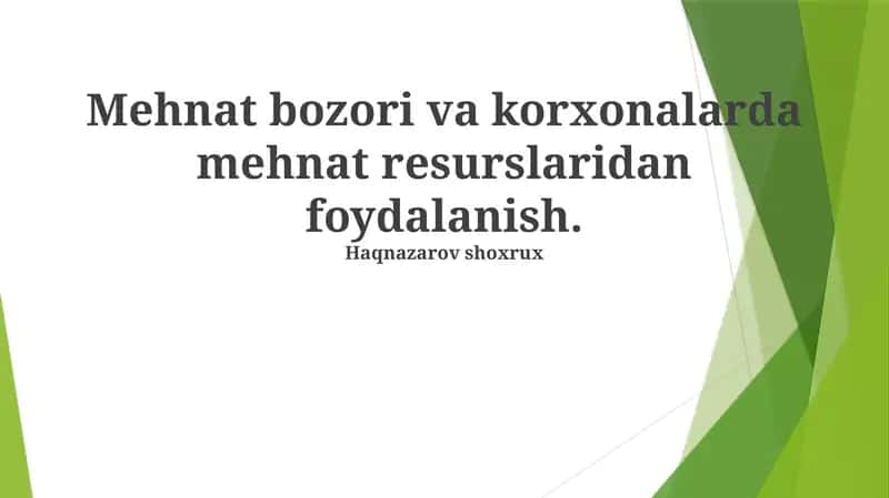 Mehnat bozori va korxonalarda mehnat resurslaridan foydalanish 1