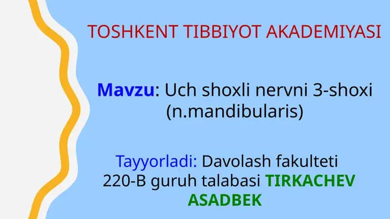 Uch shoxli nerv (n.mandibularis) 1