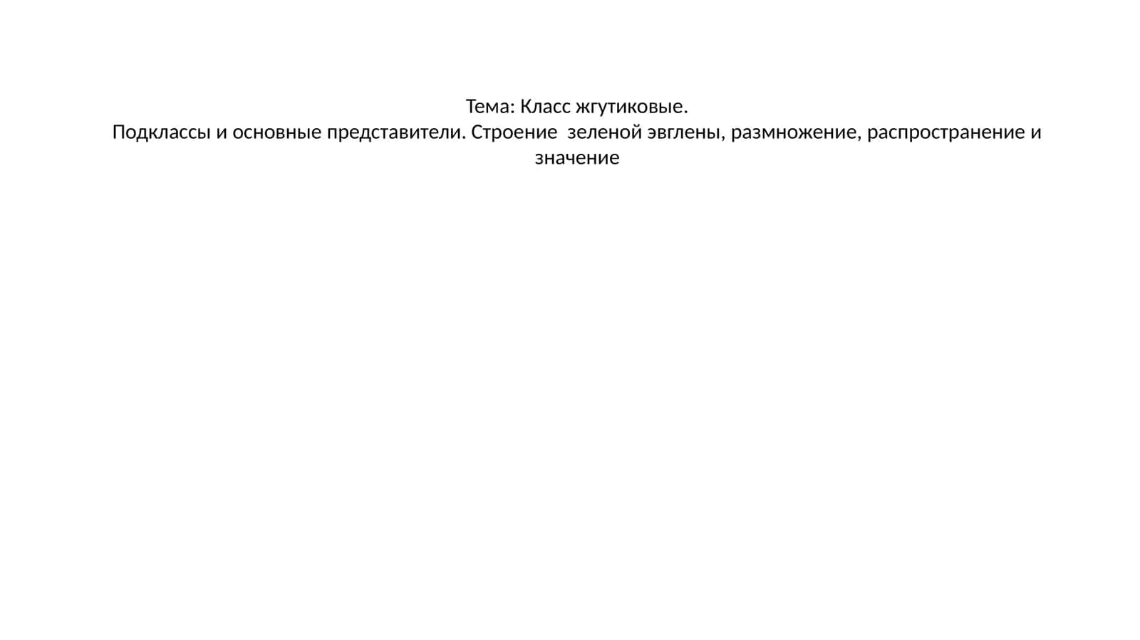 Класс жгутиковые 1