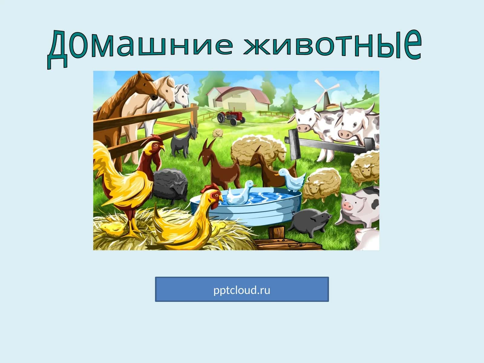 домашние животные 1