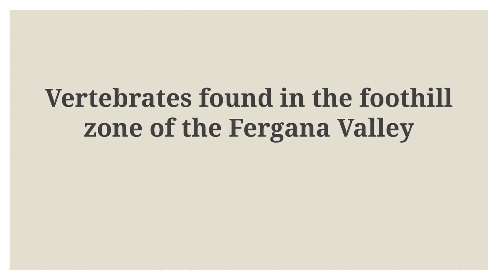 Vertebrates found in the foothill zone of the Fergana Valley 1