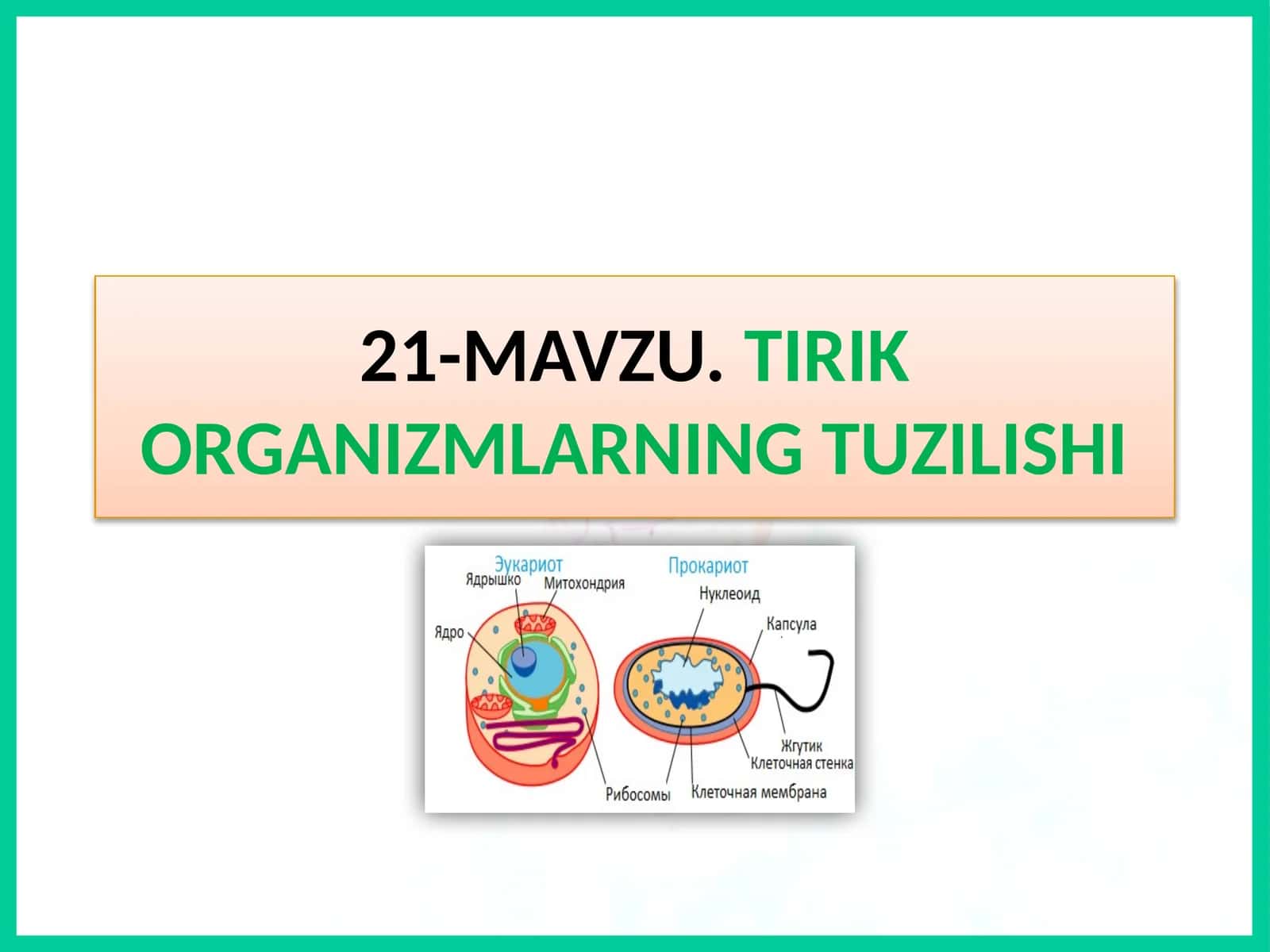 MAVZU.TIRIK ORGANIZMLARNING TUZILISHI 1