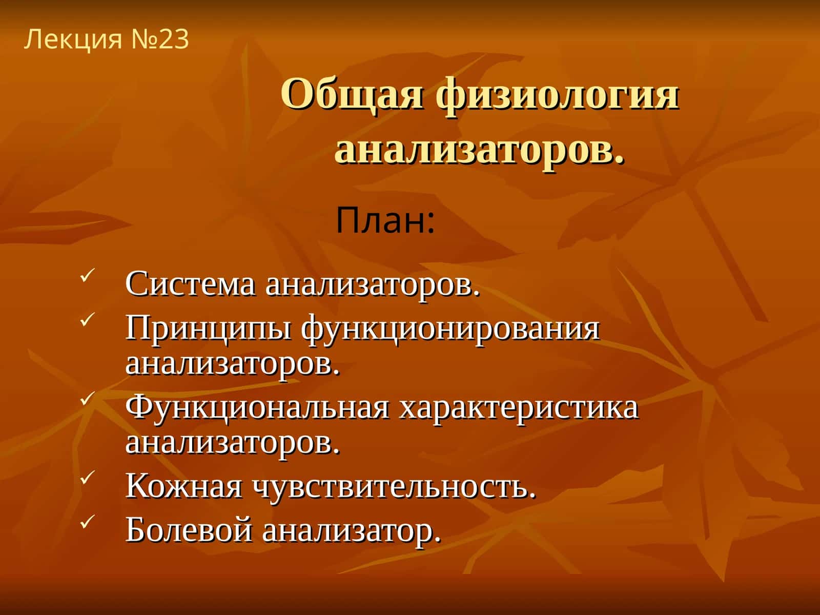 Физиология анализаторов 1