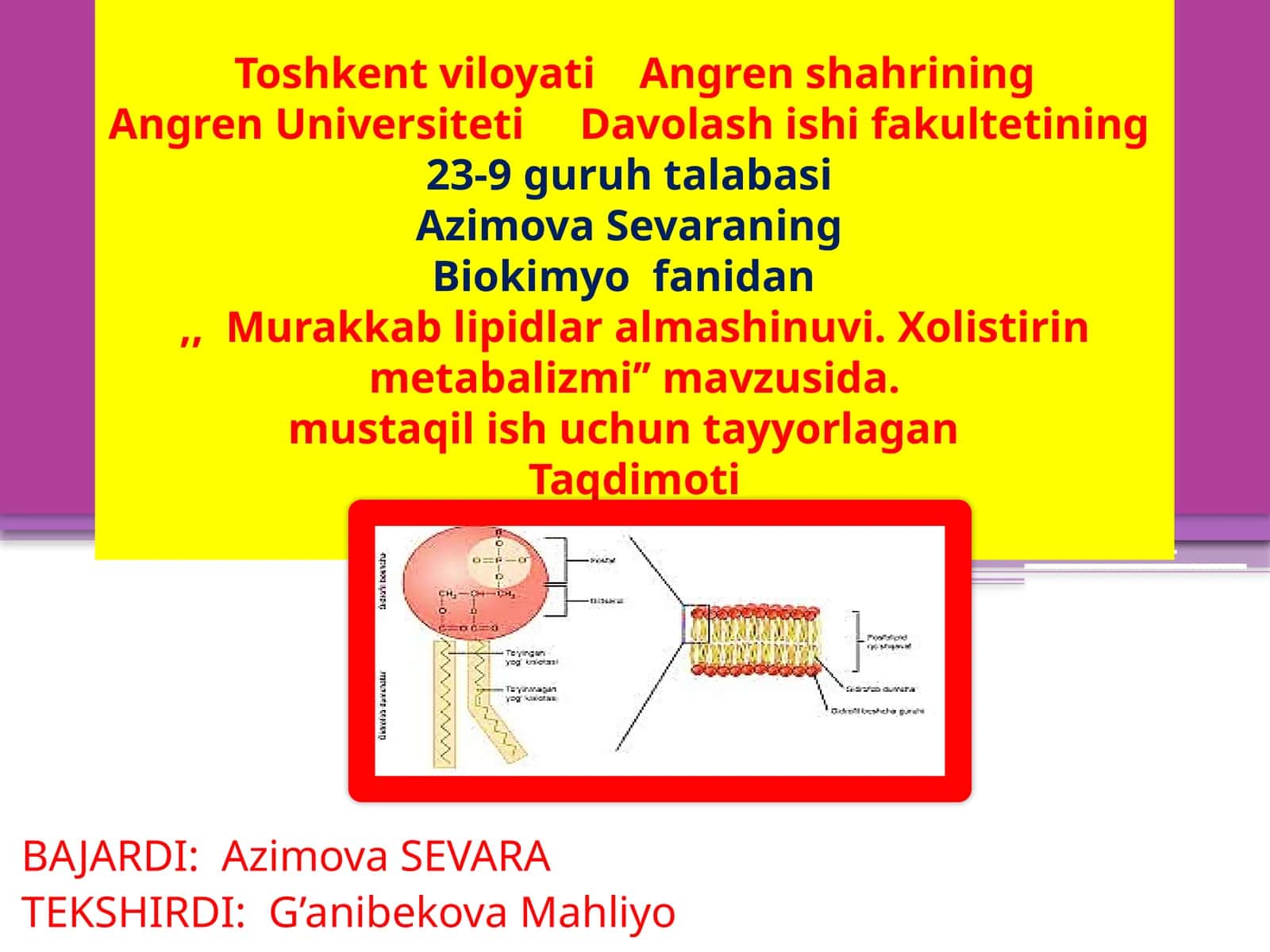 Murakkab lipidlar alamshinuvi. Xolistirin metabolizmi 1