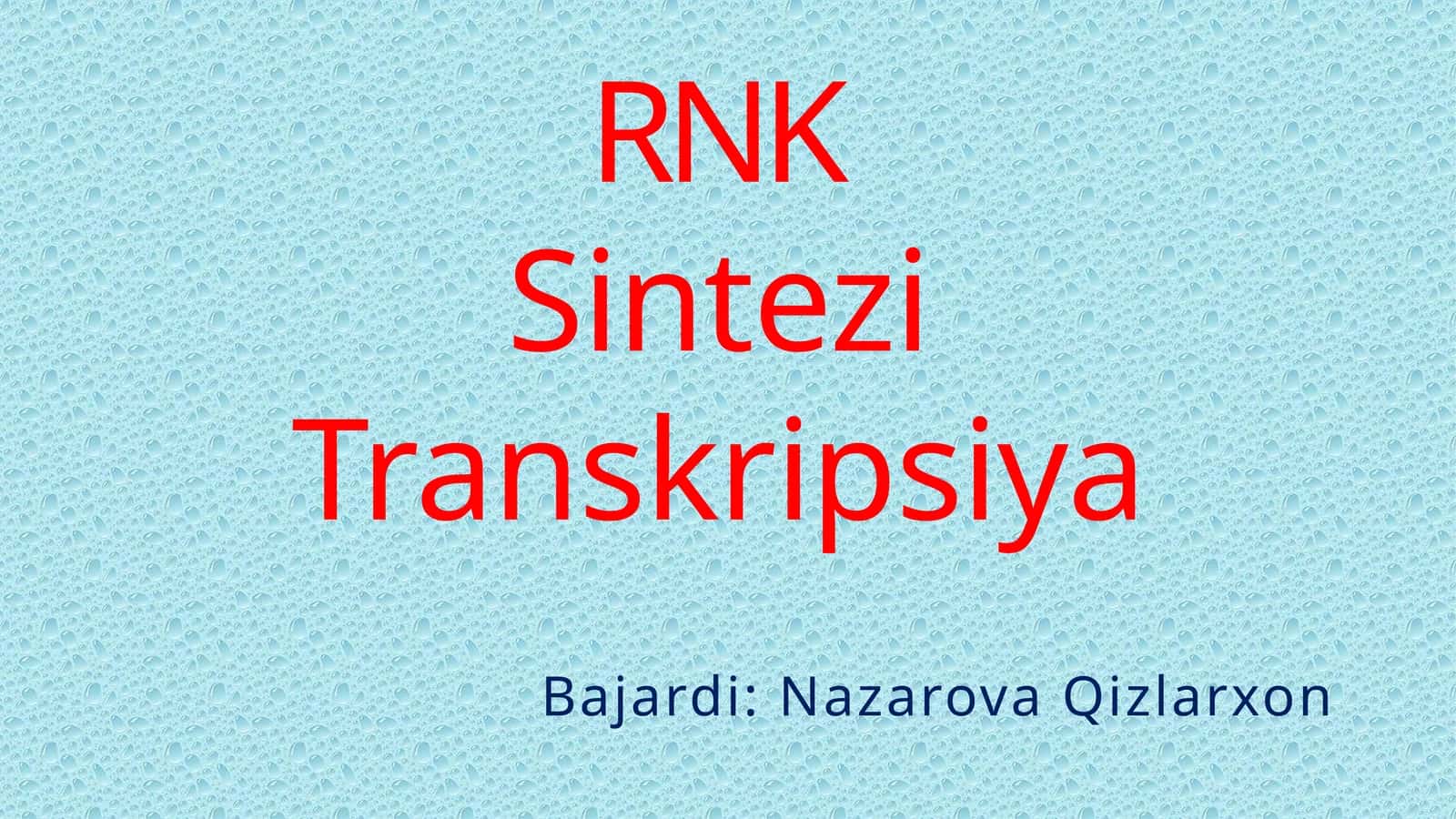 RNK Sintezi 1