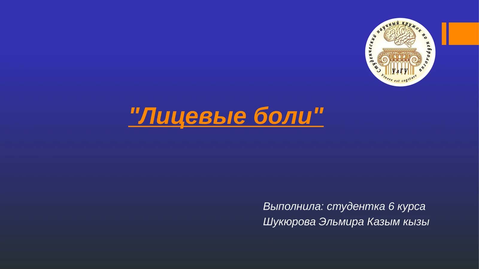 Лицевые боли 1