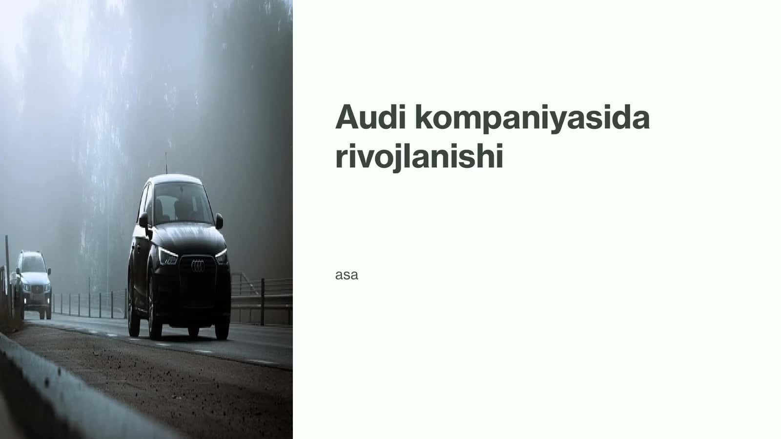 Audi kompaniyasi 1