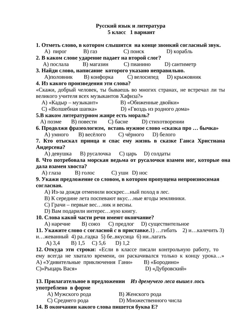 Русский язык и литература 5 класс 1 вариант 1