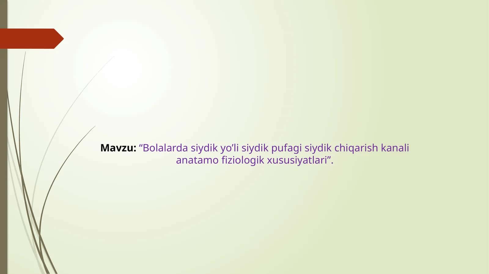 Bolalarda siydik yo’li siydik pufagi siydik chiqarish kanali anatamofiziologik xususiyatlari 1