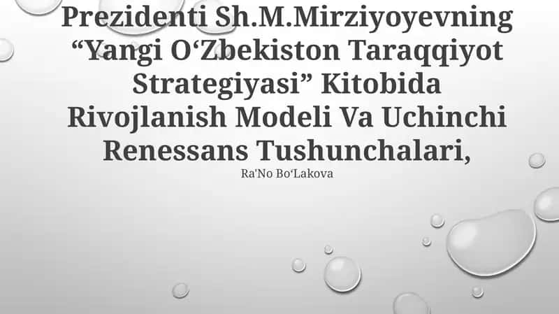 Yangi O‘zbekiston Taraqqiyot Strategiyasi 1