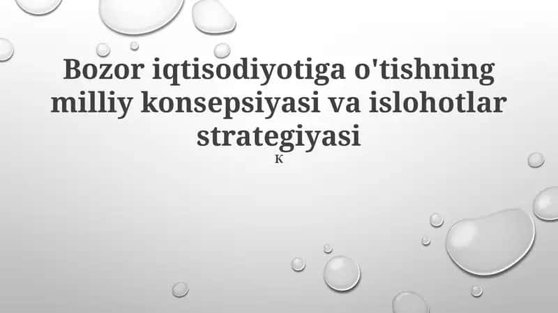 Bozor iqtisodiyotiga o'tishning milliy konsepsiyasi va islohotlar strategiyasi 1
