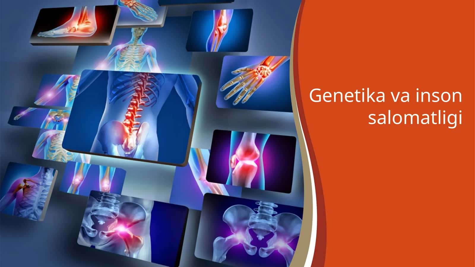 Genetikavainsonsalomatligi 1