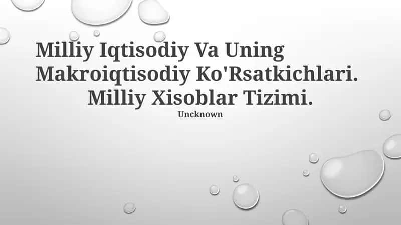 Milliy Hisoblar Tizimi 1