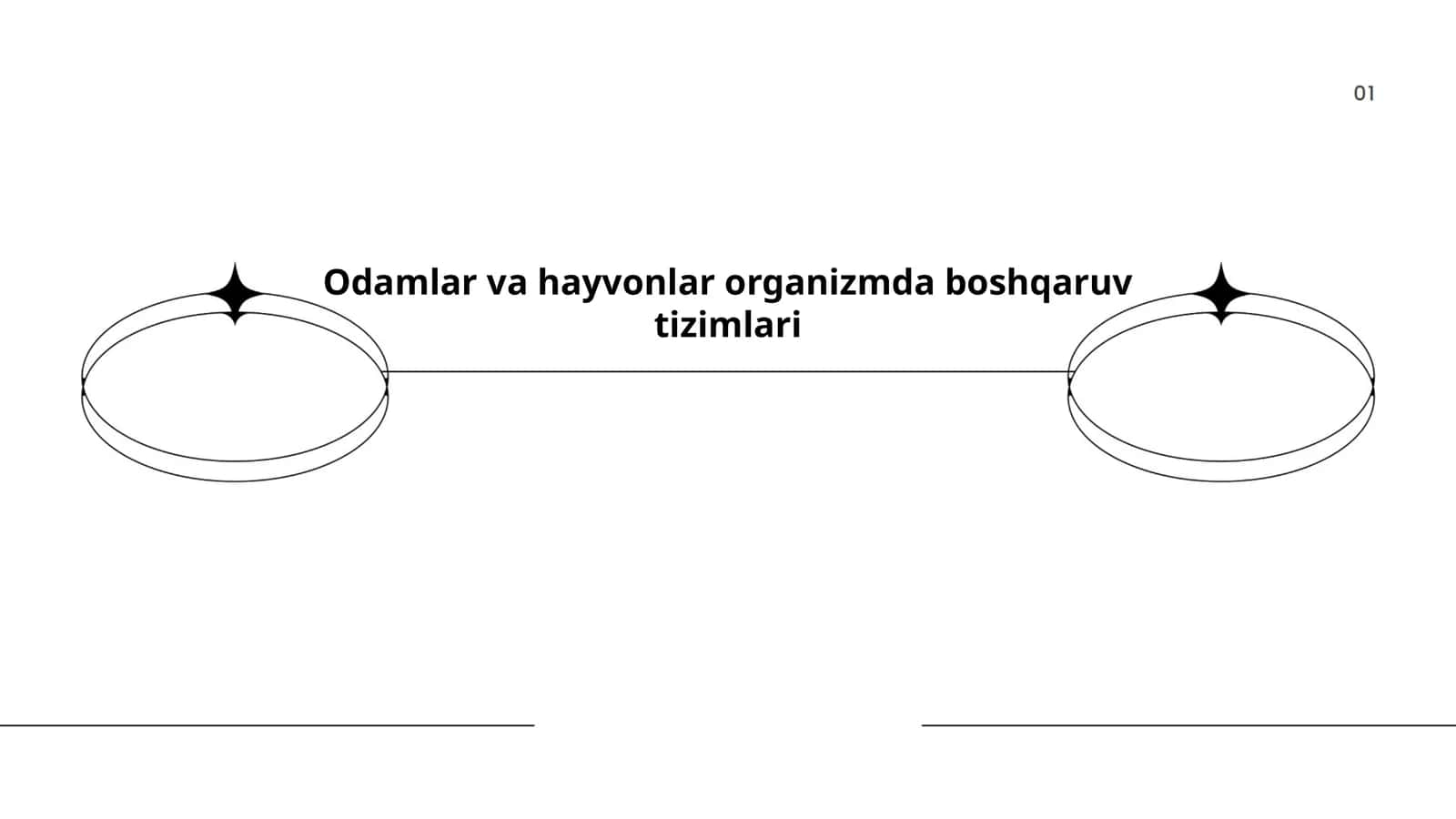 Odamlar va hayvonlar organizmda boshqaruv tizimlari 1