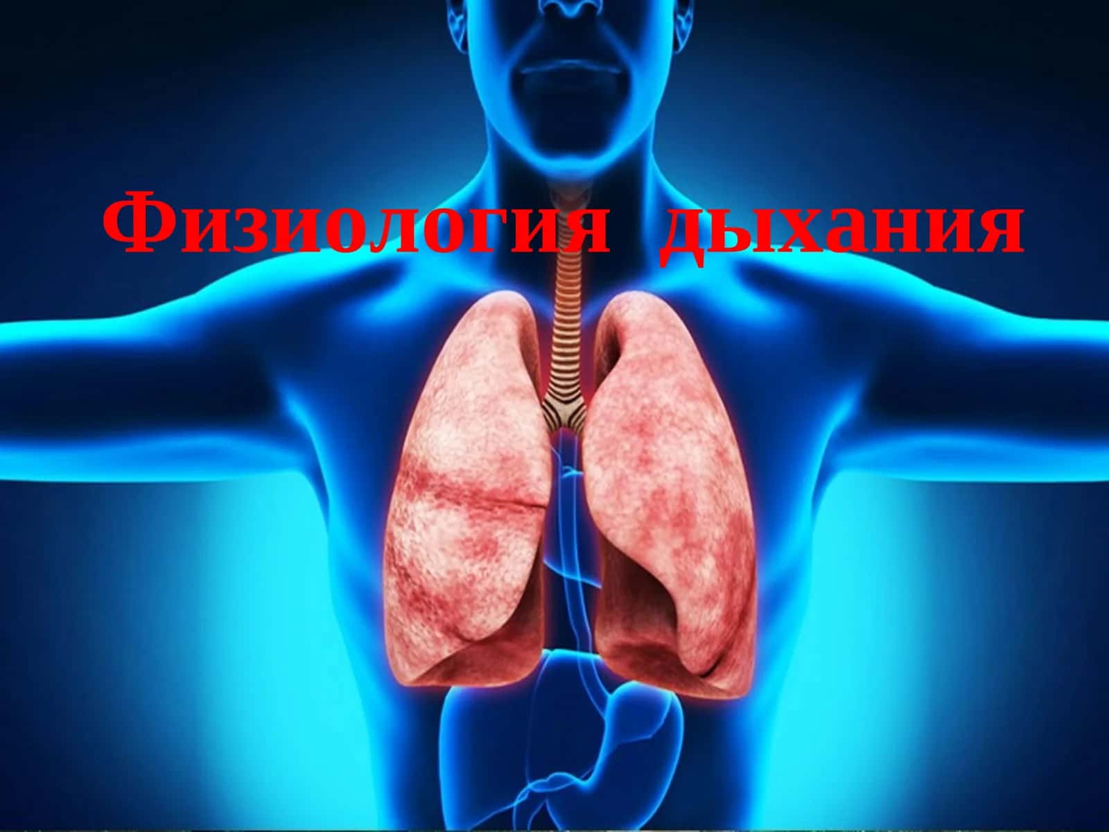 Физиология дыхания 1