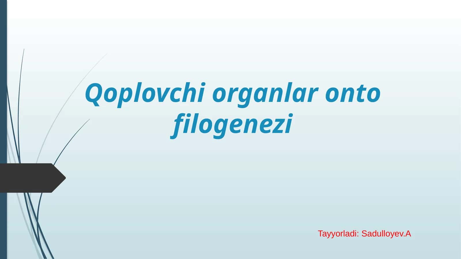 Qoplovchi organlar onto filogenezi.pptx 1