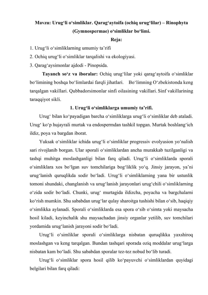 Urug‘li o‘simliklar. Qarag‘aytoifa (ochiq urug‘lilar) – Rinophyta (Gymnospermae) o‘simliklar bo‘limi referat 1