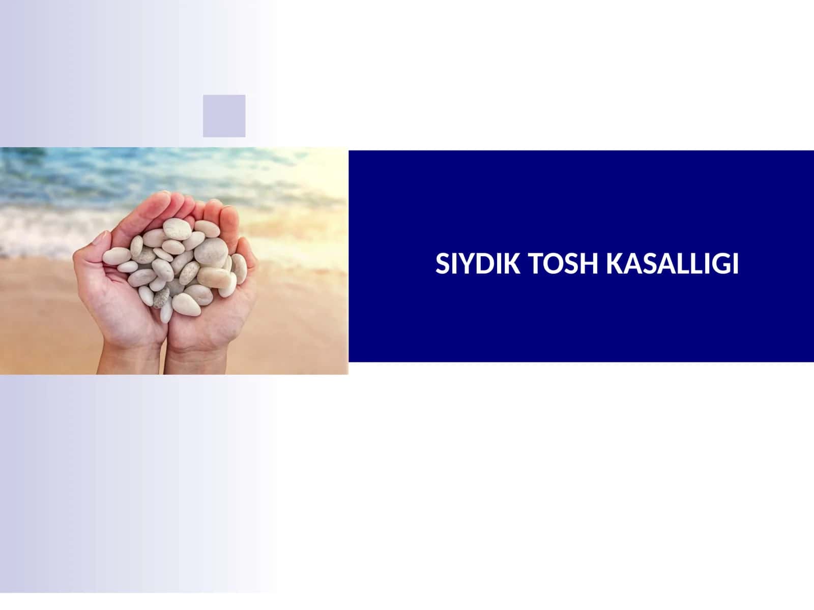 SIYDIK TOSH KASALLIGI 1