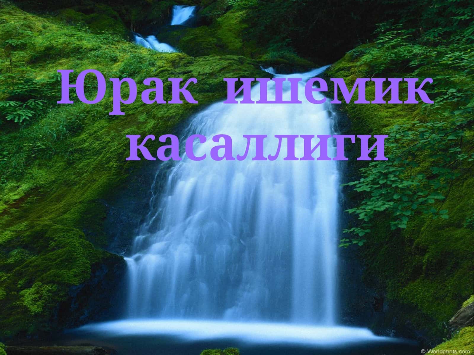 Юрак  ишемик   касаллиги 1