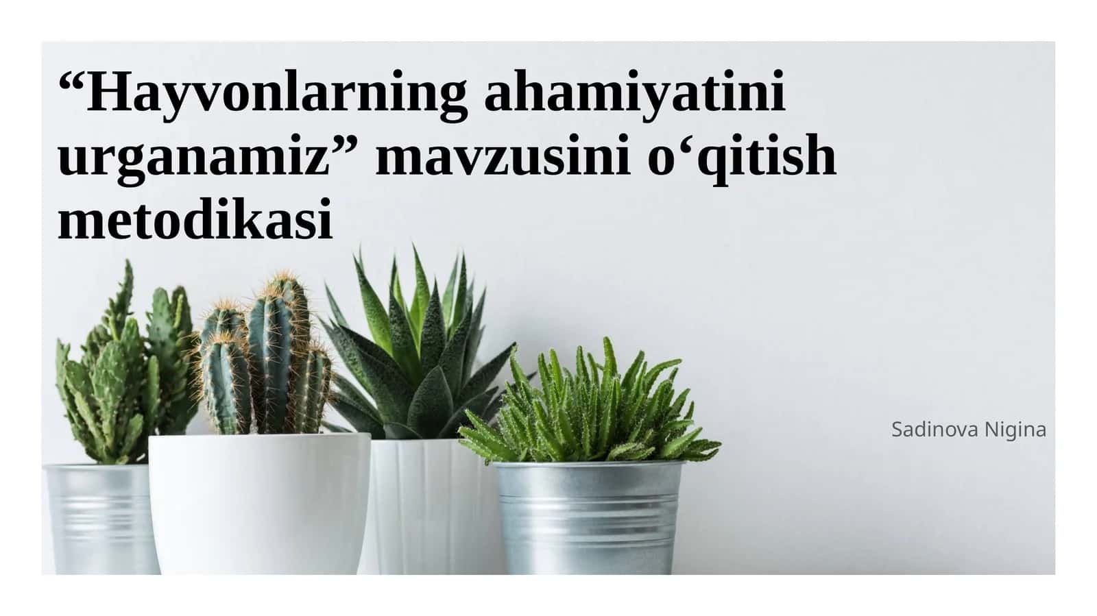 Hayvonlarning ahamiyatini urganamiz 1
