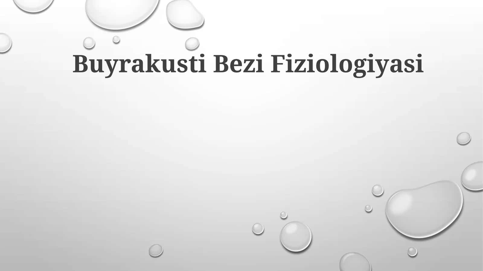 Buyrakusti Bezi Fiziologiyasi 1