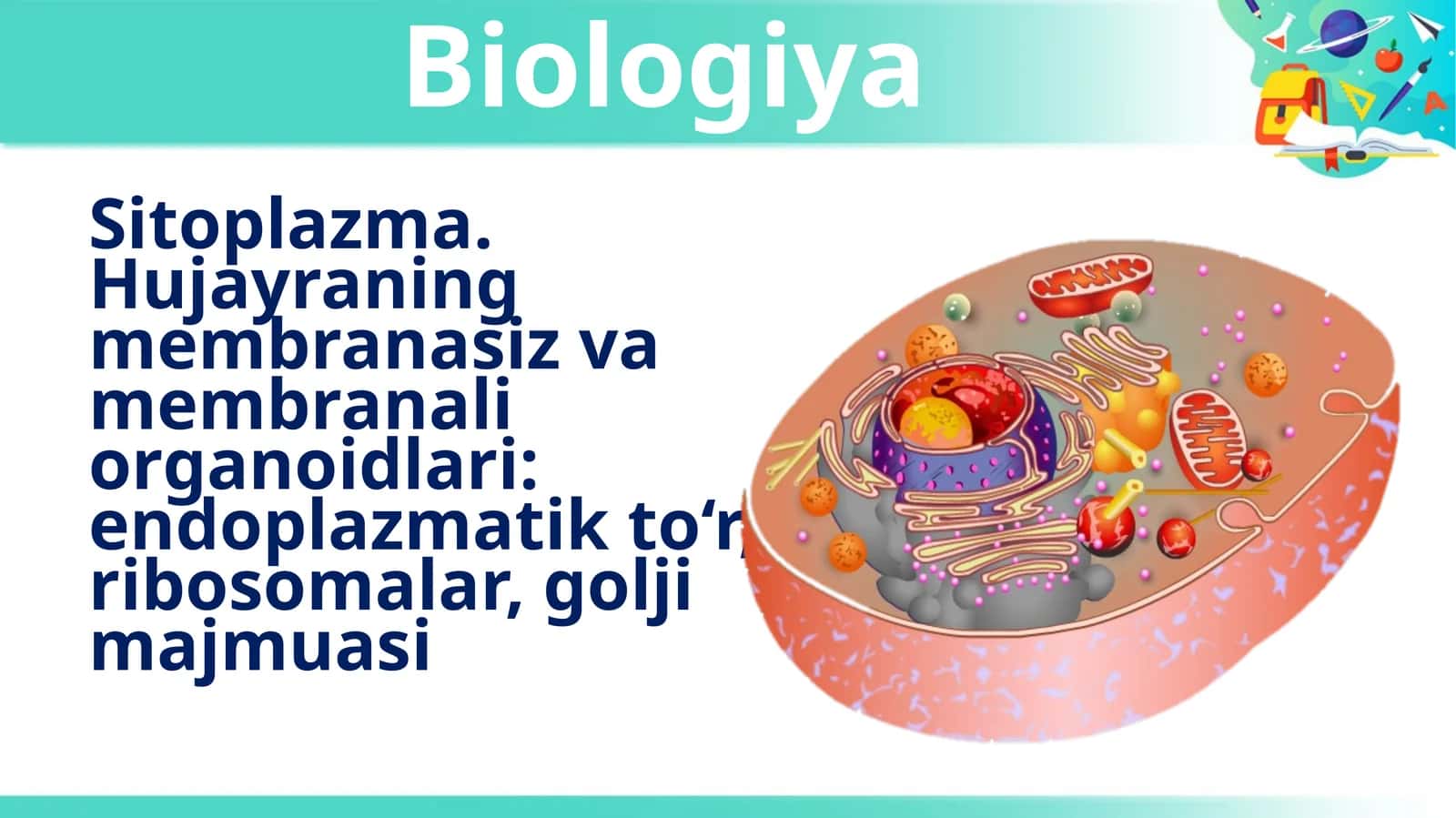 10-sinf Biologiya Sitoplazma, Hujayraning membranasiz va membranali organoidlari 1