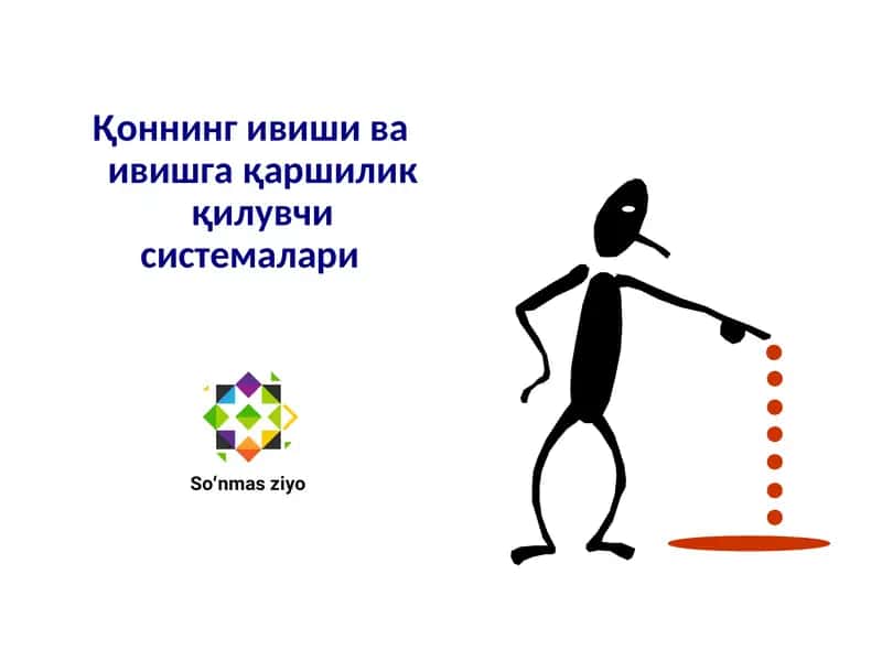 Қоннинг ивиши ва ивишга қаршилик қилувчи системалари 1