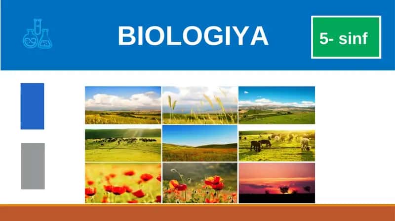 BIOLOGIYA 5-sinf MUSTAHKAMLASH 1