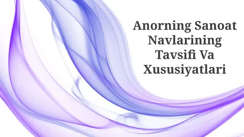 Anorning Sanoat Navlarining Tavsifi Va Xususiyatlari 1