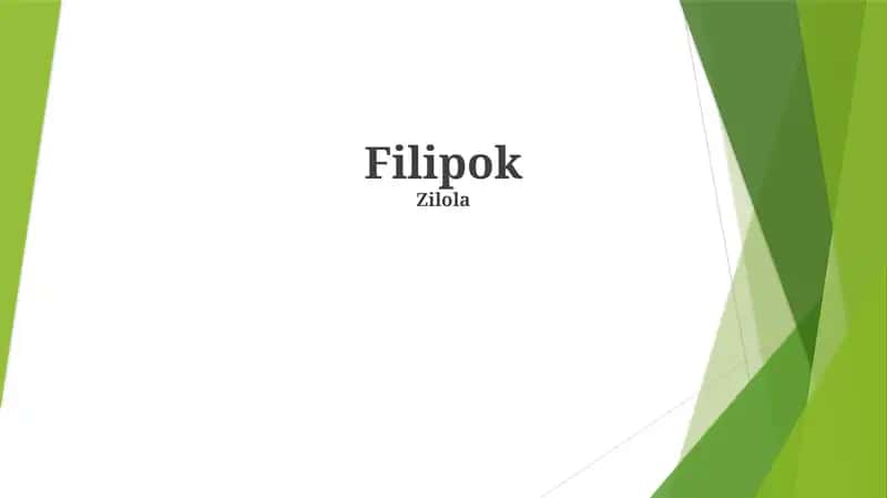 Filipok 1