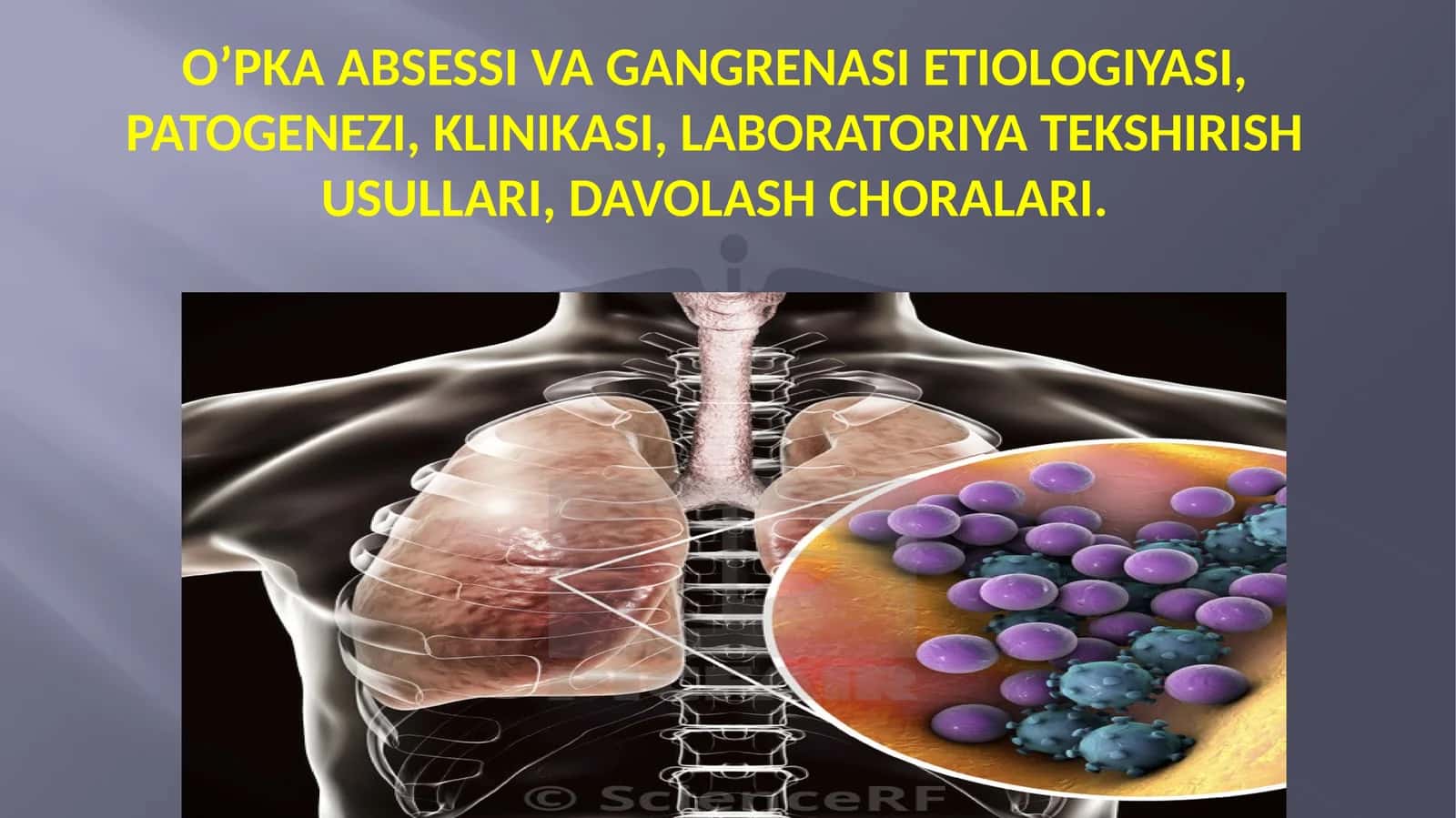 O’PKA ABSESSI VA GANGRENASI ETIOLOGIYASI, PATOGENEZI, KLINIKASI, LABORATORIYA TEKSHIRISH USULLARI, DAVOLASHCHORALARI 1