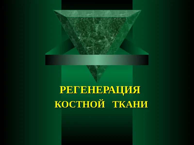 Физиологическая и репаративная регенерация костной ткани 1