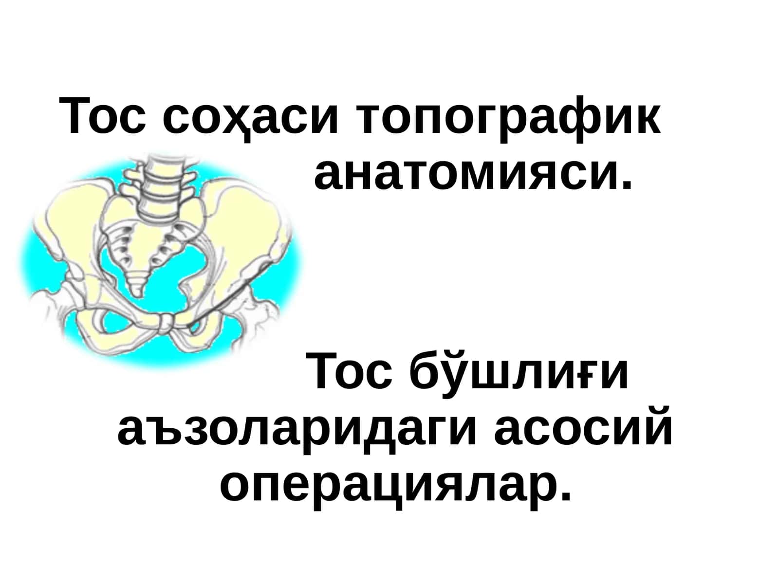 Тос соҳаси ва ундаги аъзолар топографик анатомияси 1