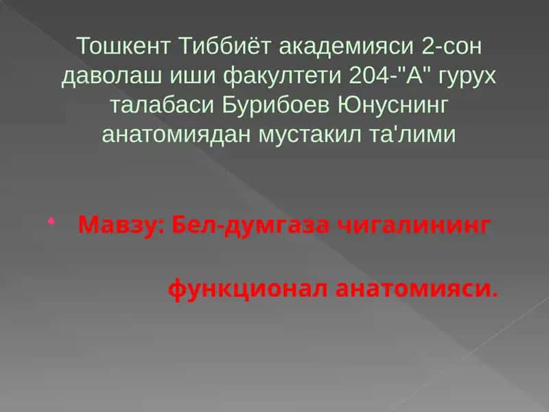 Бел-думгаза чигалининг функционал анатомияси 1