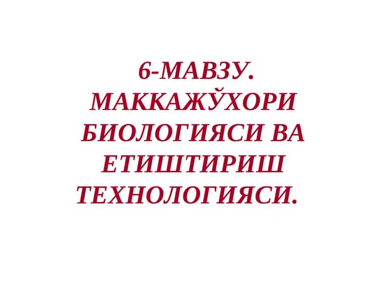 Маккажўхори биологияси ва етиштириш технологияси 1