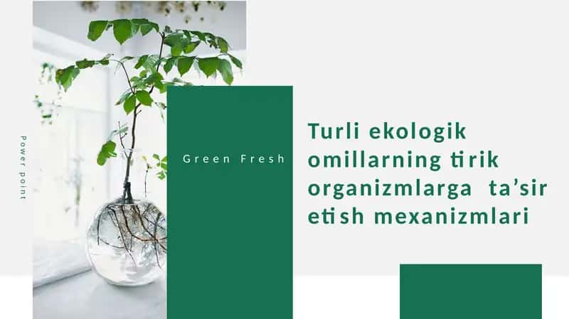 Turli ekologik omillarning tirik organizmlarga  ta’sir etish mexanizmlari 1
