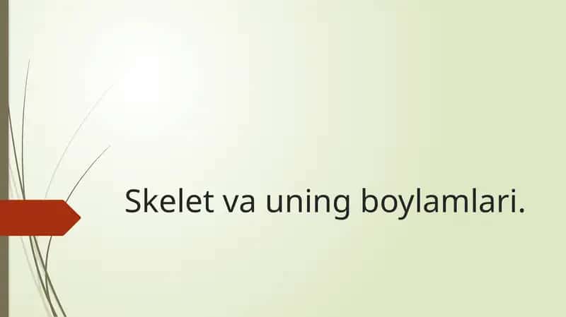 Skelet va uning boylamlari 1