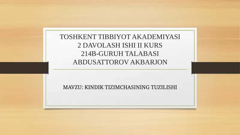KINDIK TIZIMCHASI 1